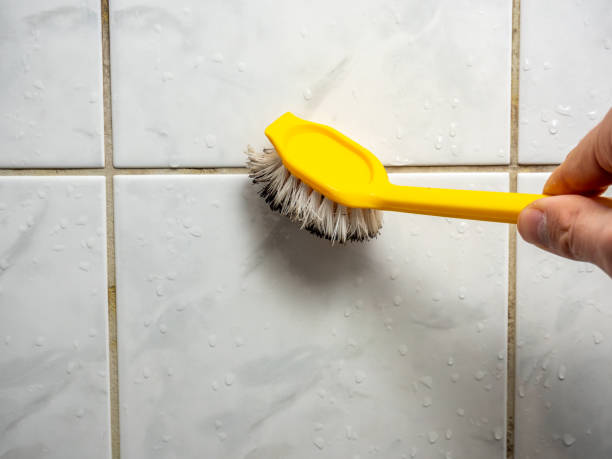 Best Post-Flood Mold Remediation in Clarendon, TX