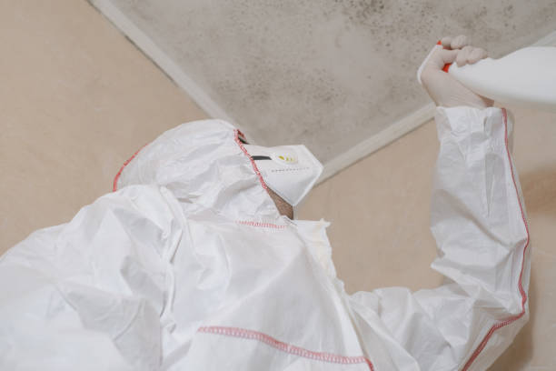Best Residential Mold Remediation in Clarendon, TX